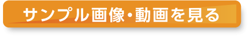 サンプル画像・動画を見る