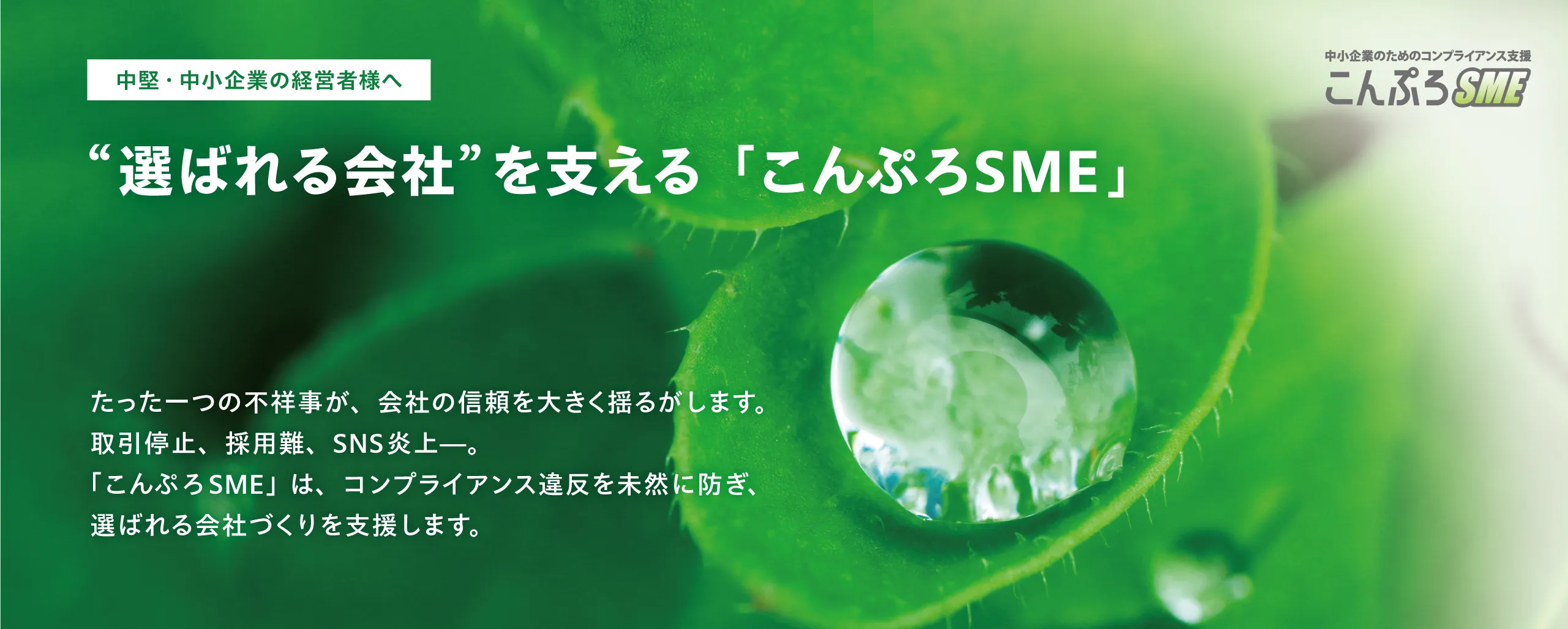 中小企業のための選ばれる会社を支える「ころぷろSME」